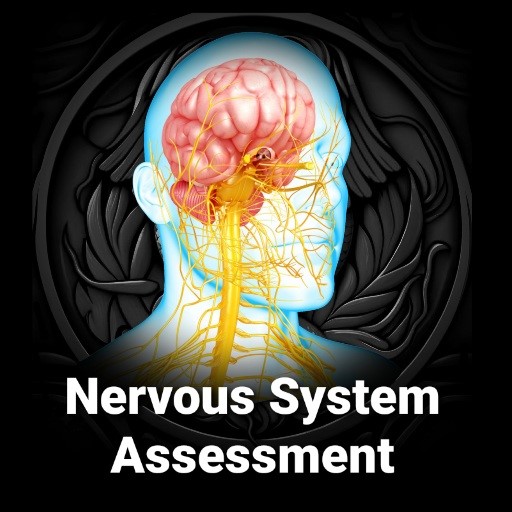 3D Nervous System Assessment app artwork