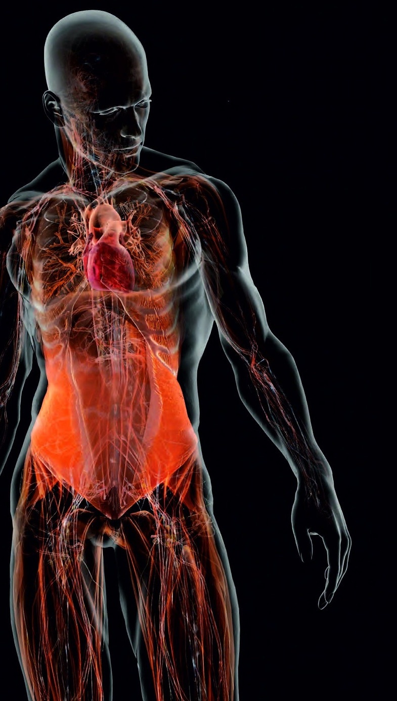 Public health 3D and VR first-aid training