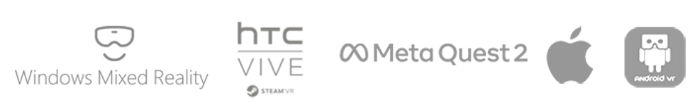 Windows Mixed Reality, HTC Vive, Meta Quest 2, Apple and Android VR